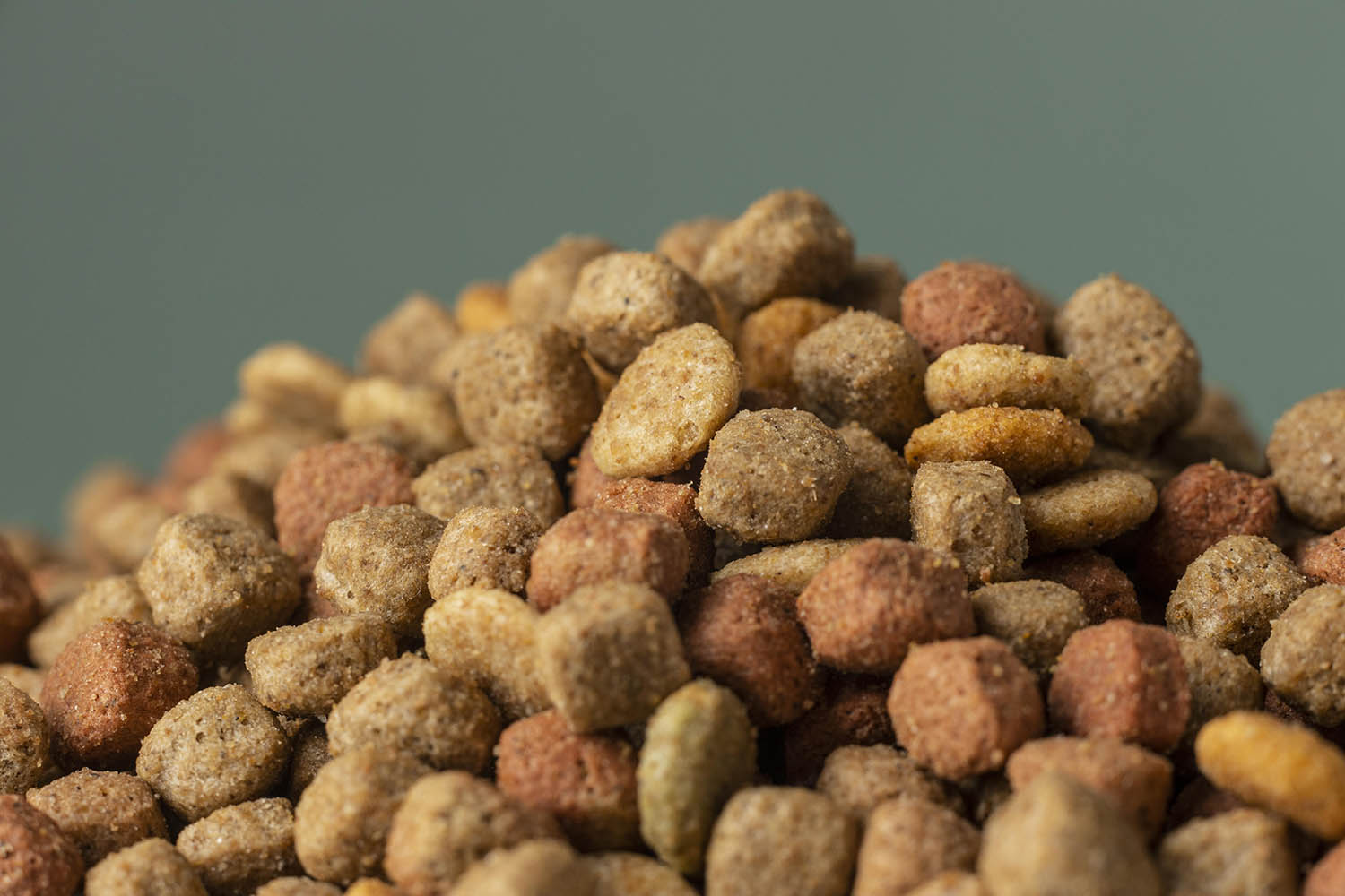 What We Offer: Premium Pet Products & Housing