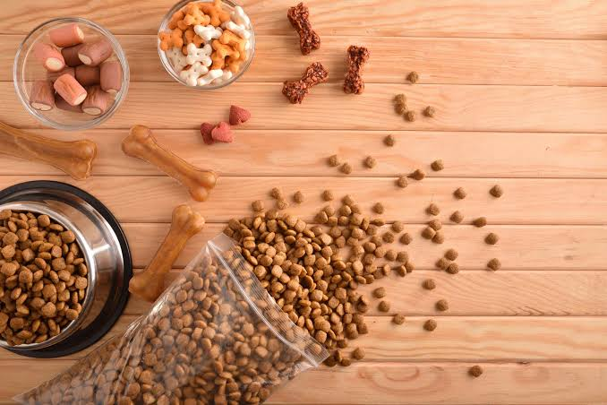 Our Essential Guide to Pet Products & Housing: Expert Tips Since 2002